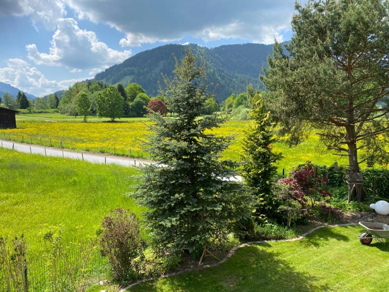 Apartments Golfweg Κίτσμπουελ Εξωτερικό φωτογραφία